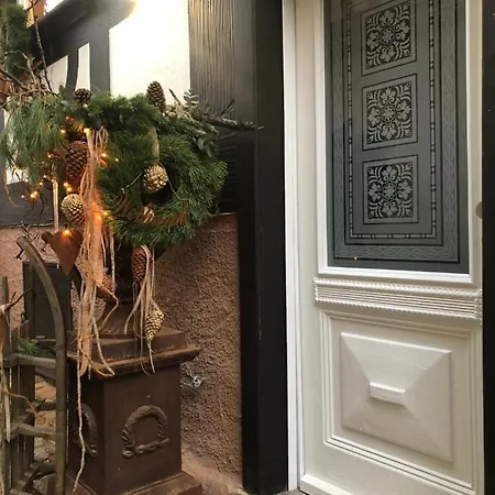 Der Gaensbuehl Auf Der Stadtmauer Lejlighedshotel Gengenbach