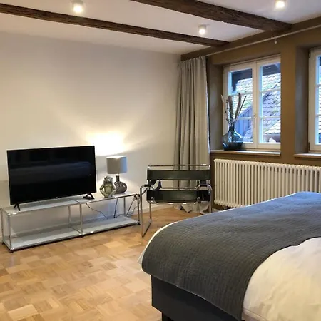 Der Gaensbuehl Auf Der Stadtmauer Aparthotel *