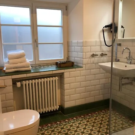 Der Gaensbuehl Auf Der Stadtmauer Gengenbach