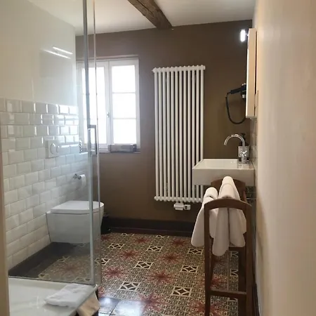 Der Gaensbuehl Auf Der Stadtmauer Lejlighedshotel Gengenbach