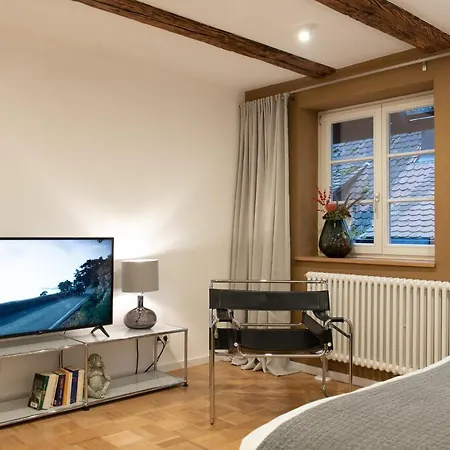 Der Gaensbuehl Auf Der Stadtmauer Lejlighedshotel Gengenbach