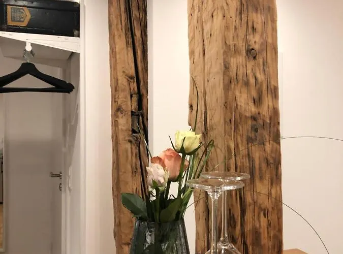 Der Gaensbuehl Auf Der Stadtmauer Gengenbach