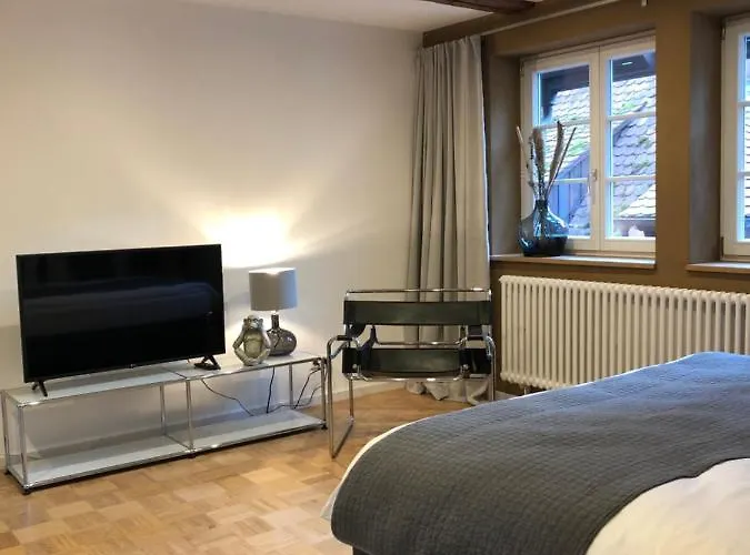 Der Gaensbuehl Auf Der Stadtmauer Apart-hotel 3*