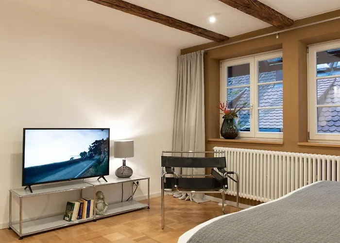 Der Gaensbuehl Auf Der Stadtmauer Apart-hotel Gengenbach